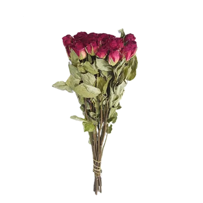 Preserved Roses For Valentine's Day